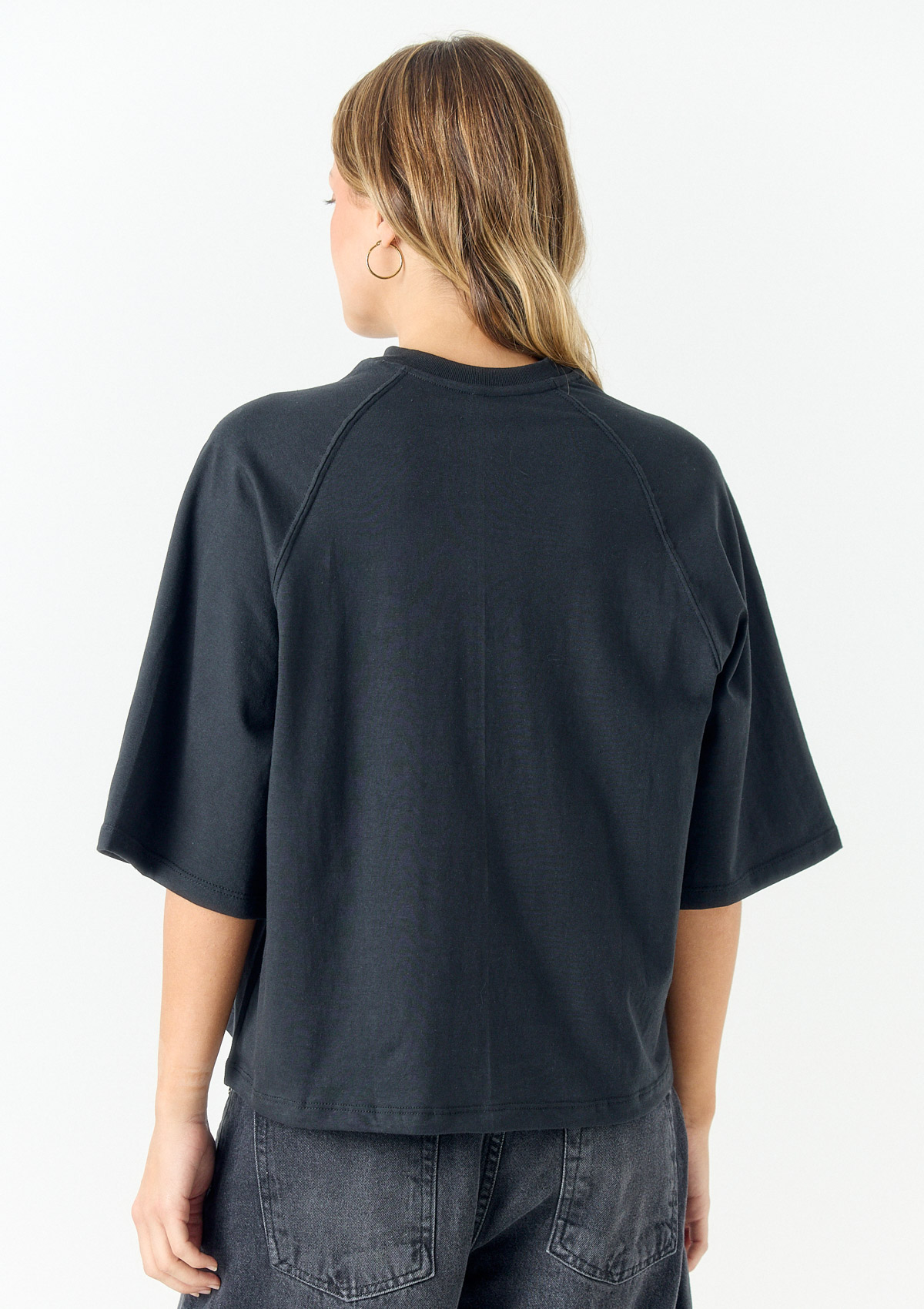112799151-03999 - REMERA MANGA RANGLAN